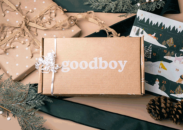 Goodboy Supplement Advent Calendar: Healthy Dog Supplements All Holiday!
