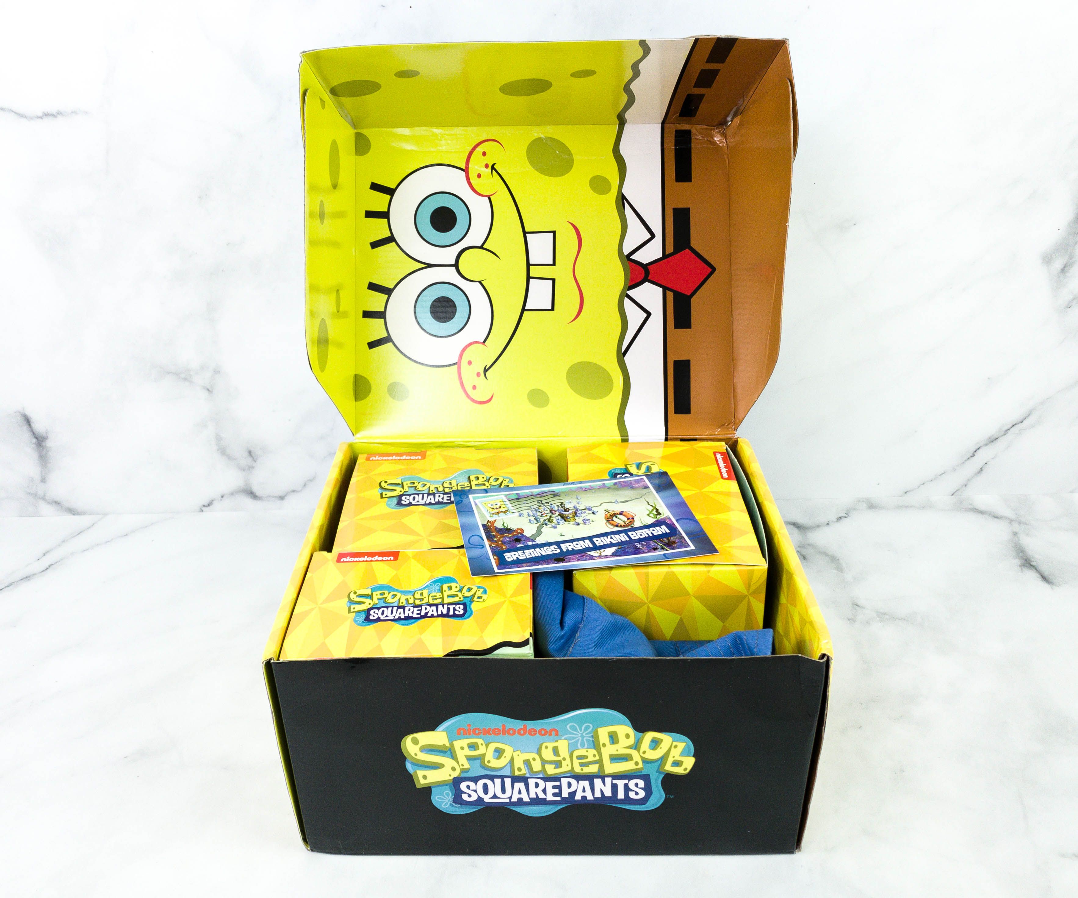 Bikini Bottom Box Winter 2020 Spongebob Squarepants Subscription