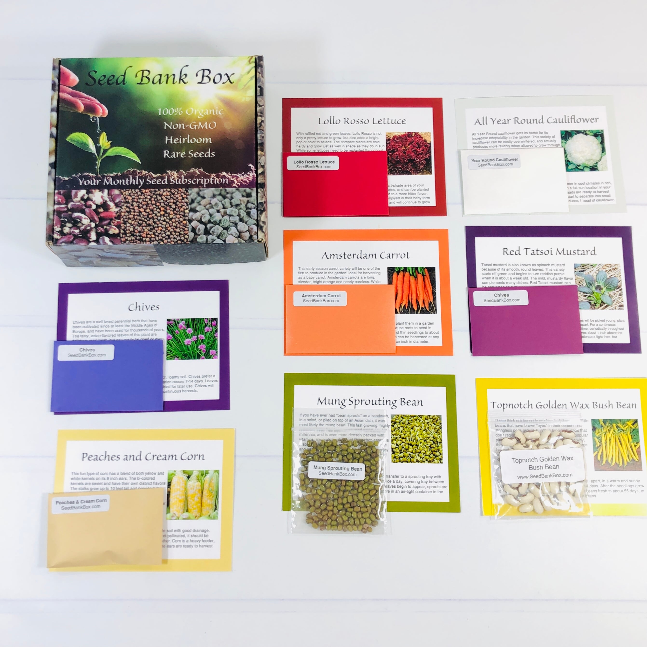 Seed Bank Box Review – January 2021
