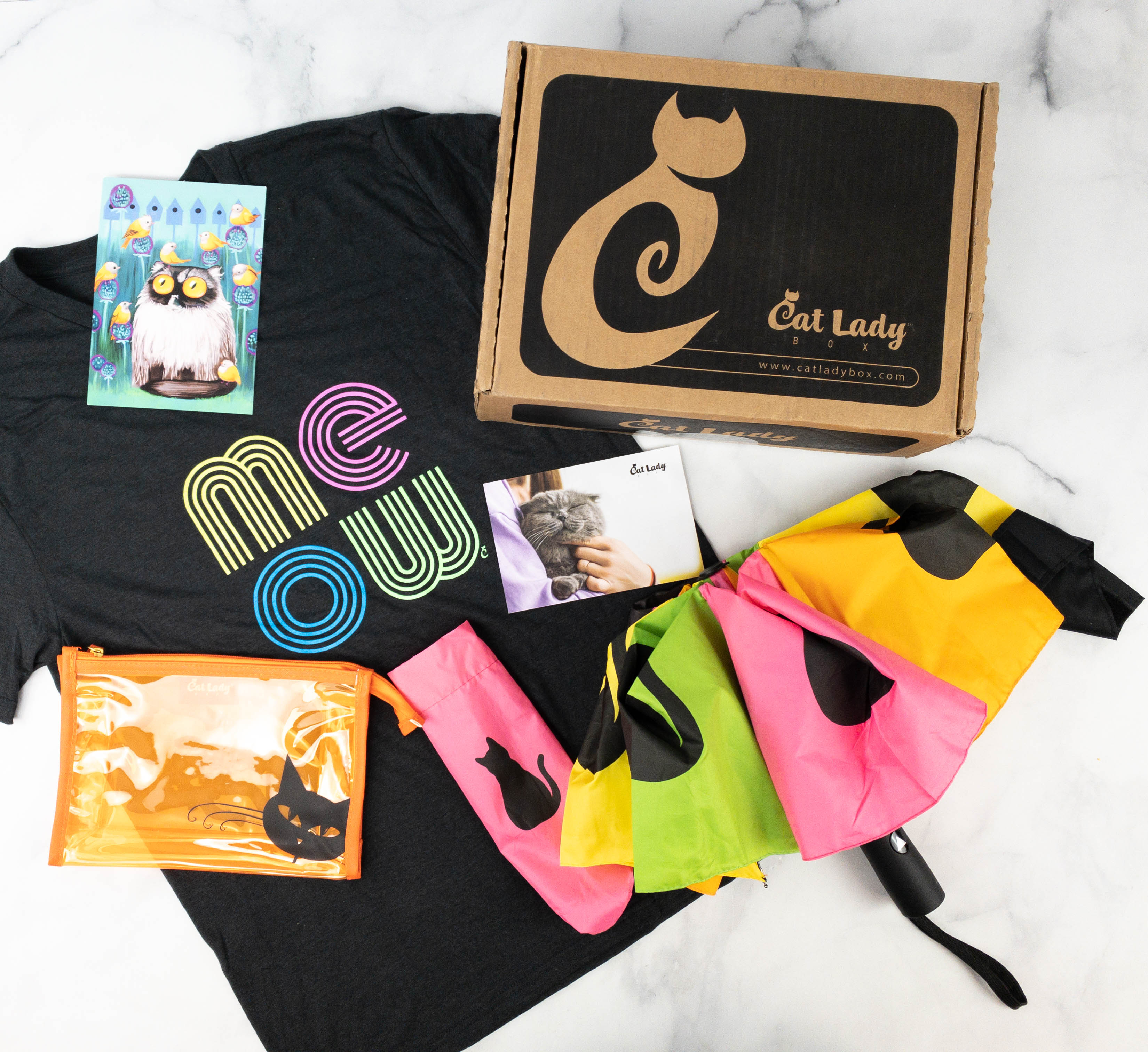 Cat Lady Box April 2021 Subscription Box Review – NEON VIBES!