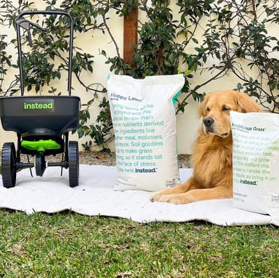 Instead Sustainable Lawn Care Program Is Almost Impossible To Mess Up