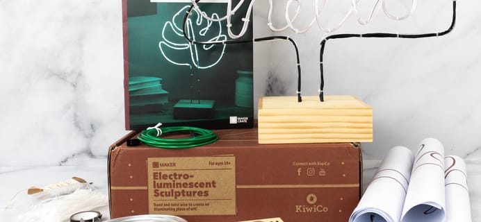 Maker Crate Review + Coupon – ELECTRO-LUMINESCENT SCULPTURES