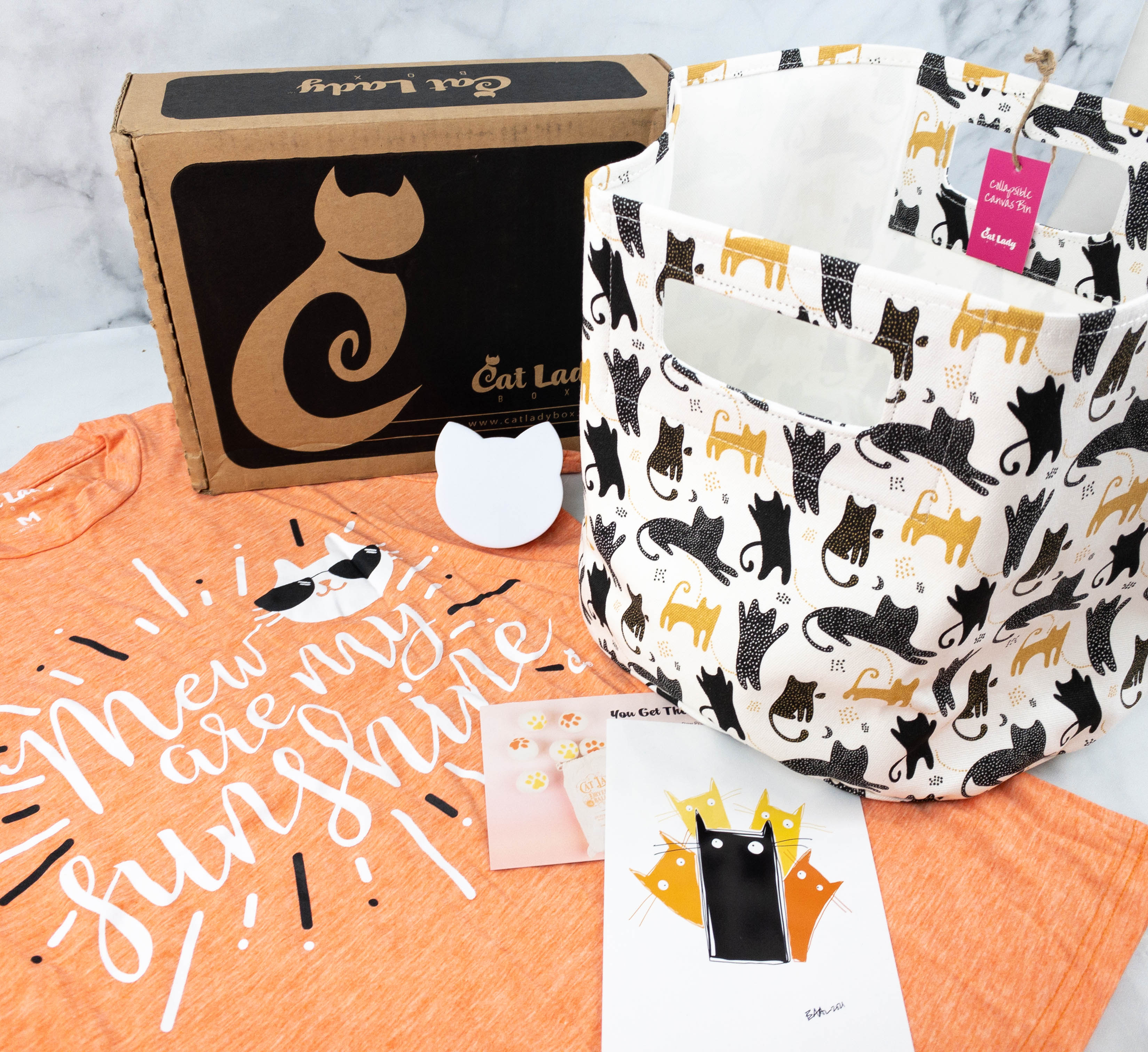 Cat Lady Box July 2021 Subscription Box Review – MEW ARE MY SUNSHINE BOX!