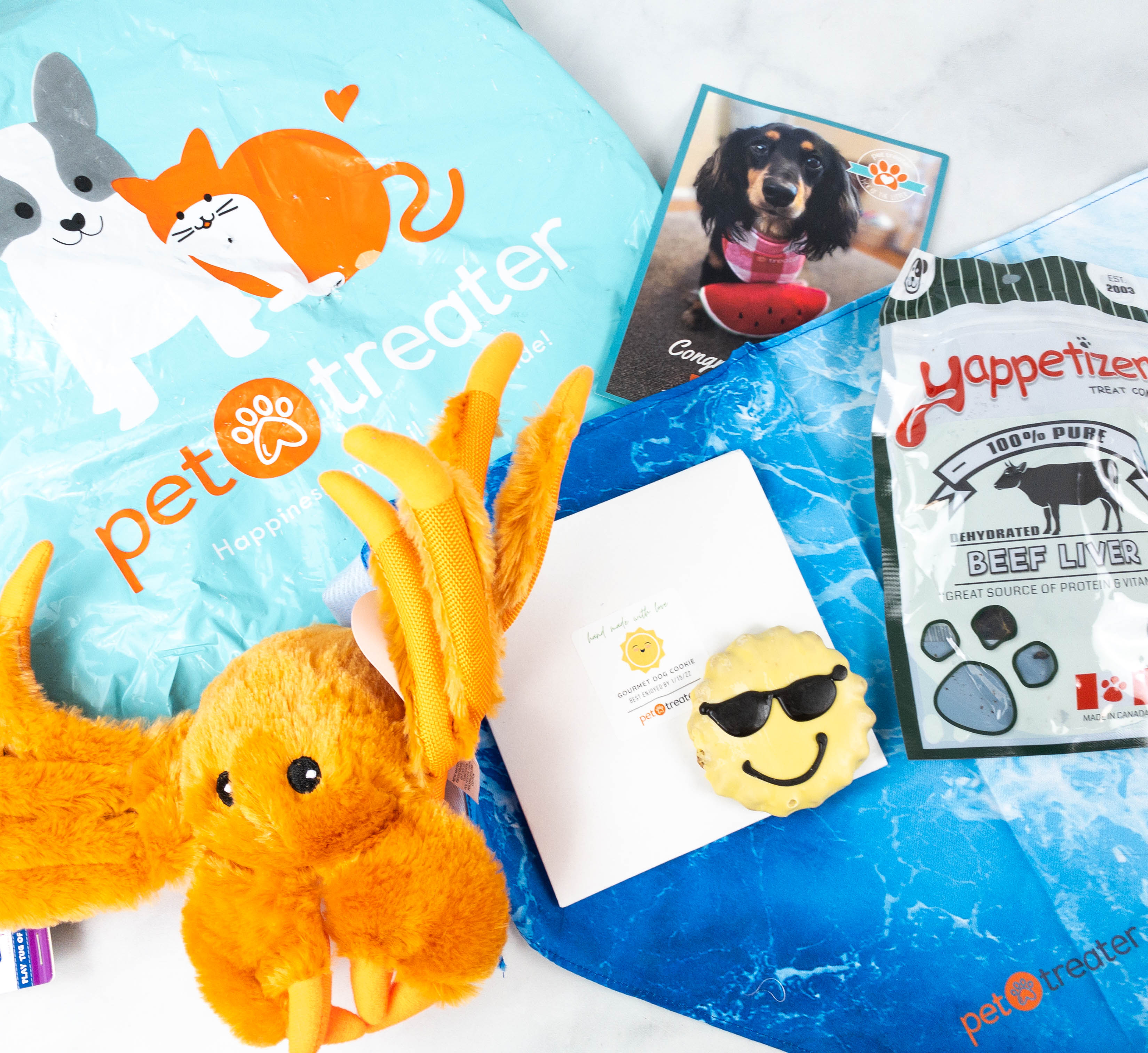 Pet Treater Dog Pack Review + Coupon – August 2021