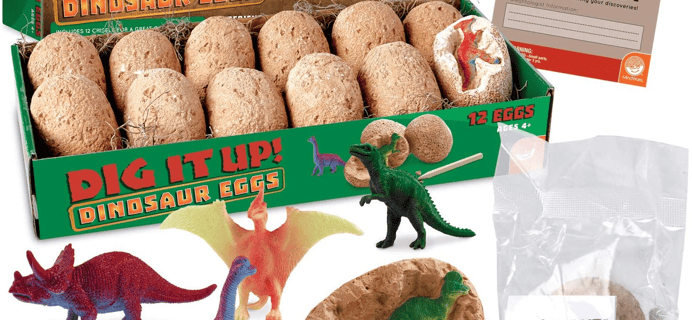 2021 MindWare Dinosaurs Advent Calendar: 12 Unique Dinosaur Eggs!