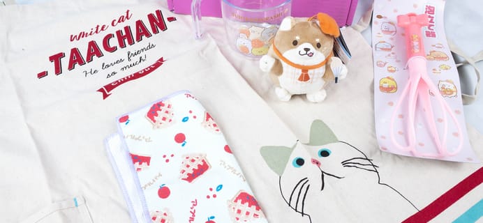 Doki Doki November 2021 Subscription Box Review & Coupon