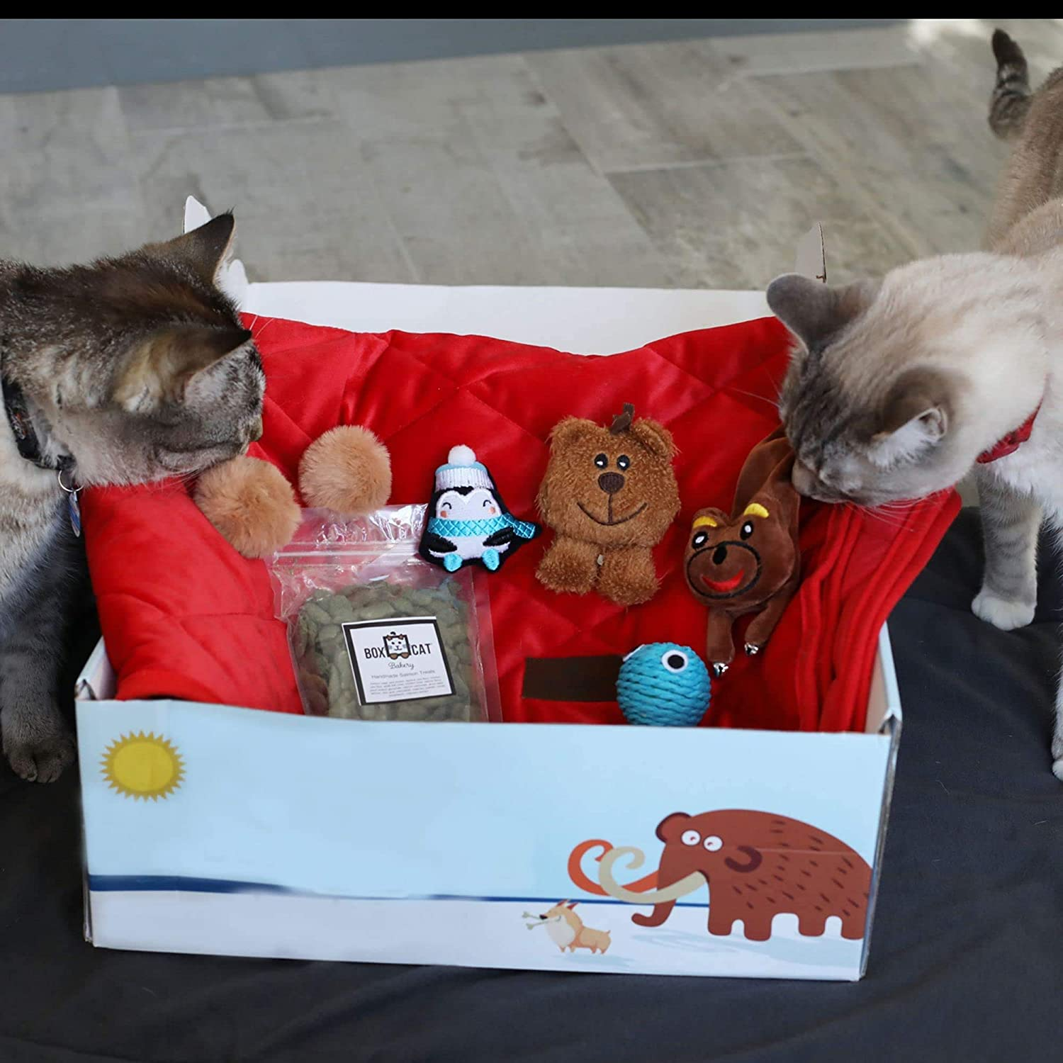 BoxCat Cyber Monday Coupon: FREE Velvet Blanket!