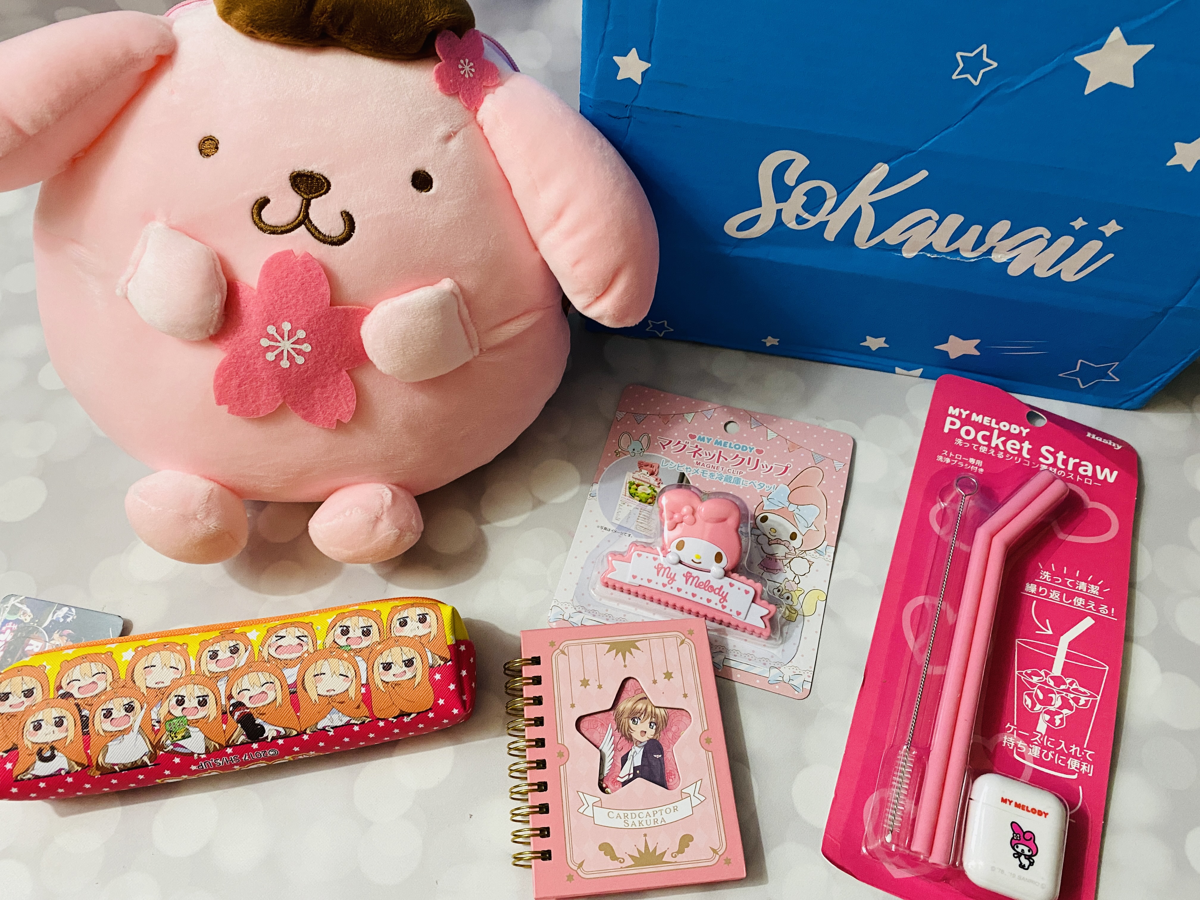 SoKawaii November 2021 Subscription Box Review + Coupon