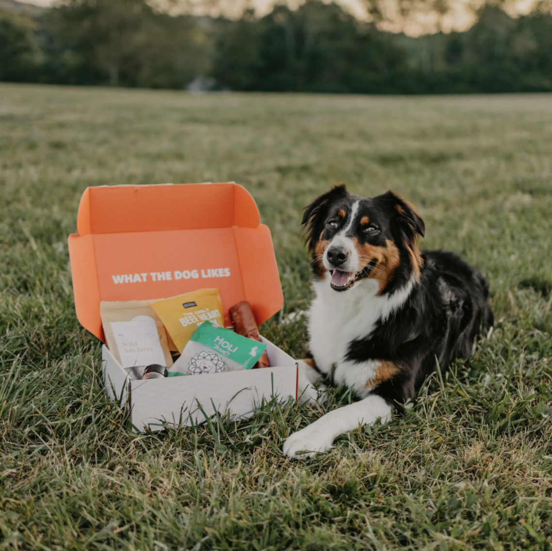 What The Dog Likes Coupon: 10% Off First Box of Full-Sized Dog Treats & Chews!