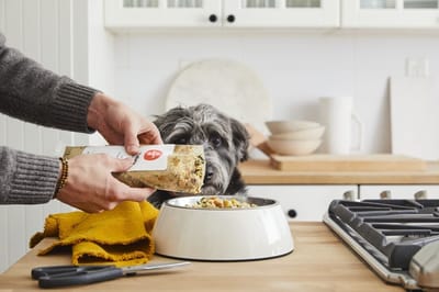 Hello Pupscription: The Farmer’s Dog – A Smarter, Healthier Dog Food Subscription