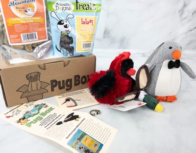 Pug Box June 2022: Unlimited Fun With Feathered Friends!