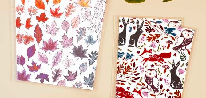 Erin Condren Fall 2022 Seasonal Surprise Box Spoilers!