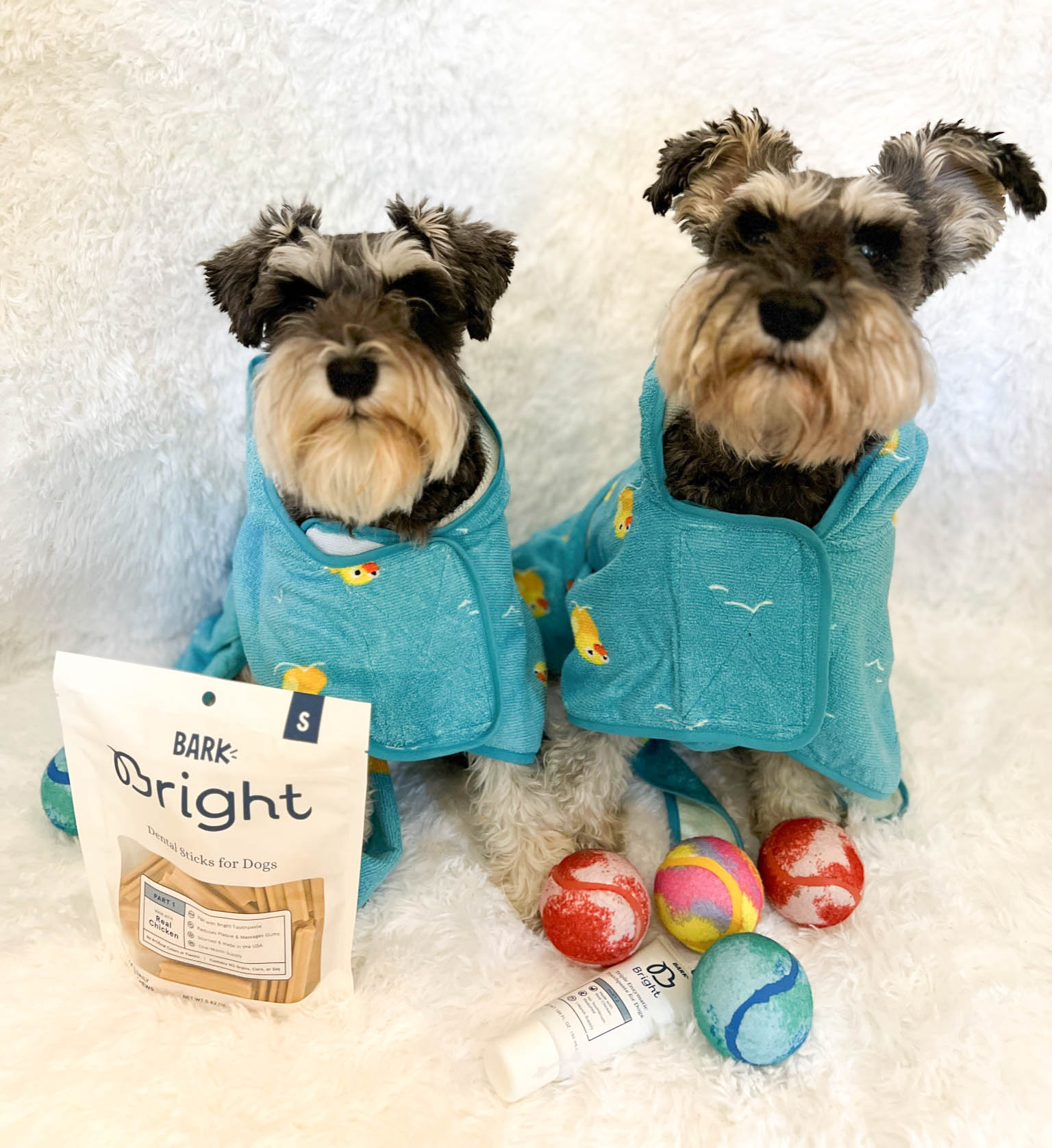 National Dog Day 2022: Give Your Pup The Gift of Fresh Breath with Bark Bright!