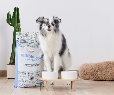 Bark Food Coupon: Get 30% Off Your First Dog Food, Toppers, Or Treats Box!