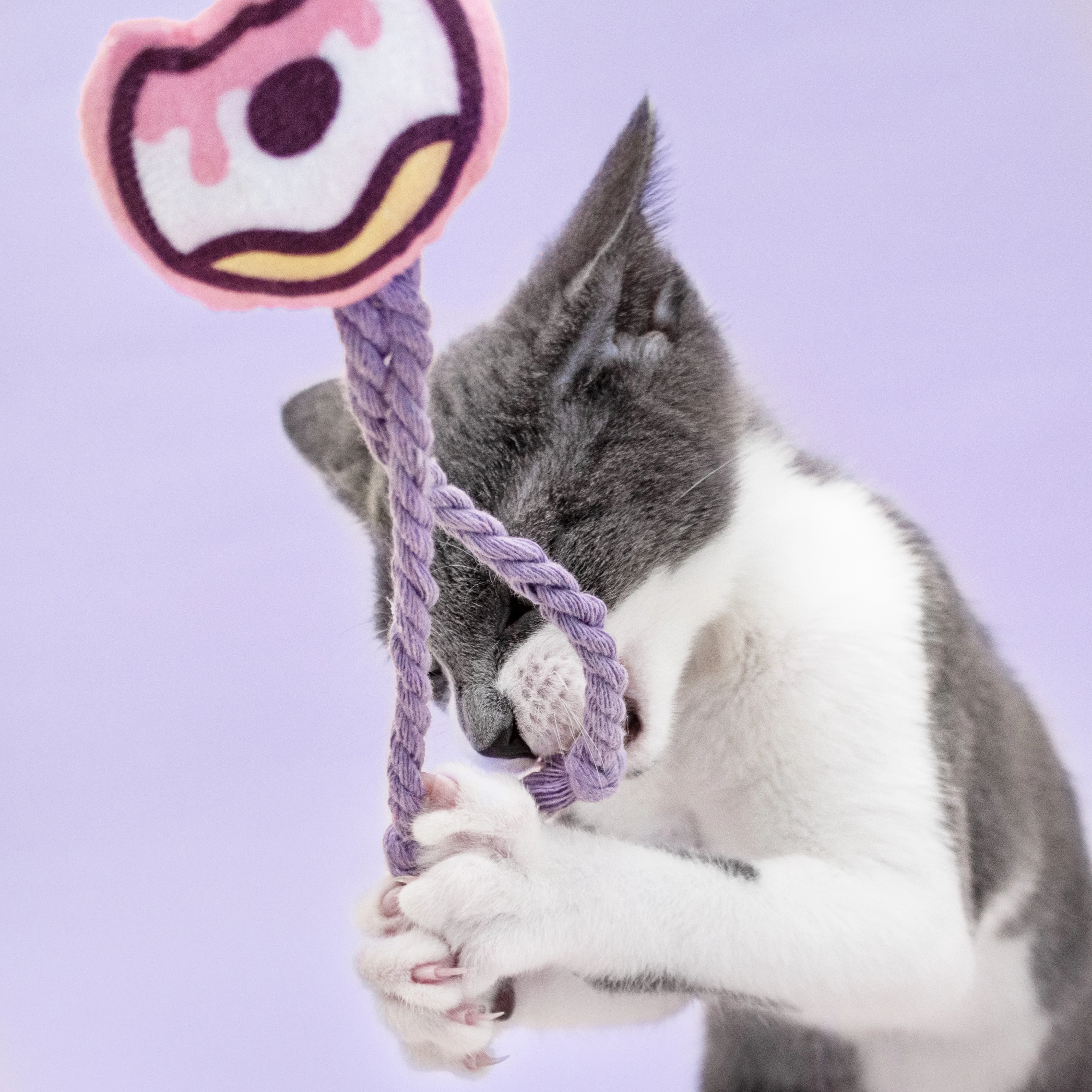 Cat Kit by Pusheen Box Fall 2022 Full Spoilers: Pampurr Your Vampurr!