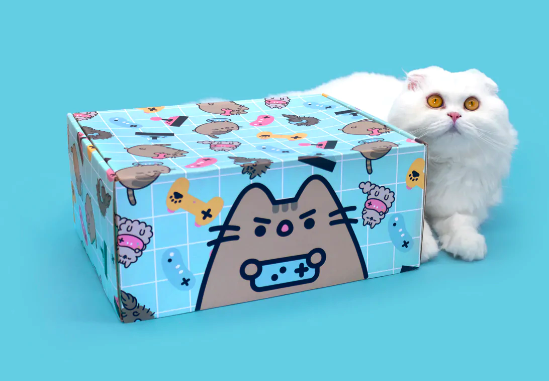 Cat Kit by Pusheen Box Winter 2022 Spoilers: Gaming!