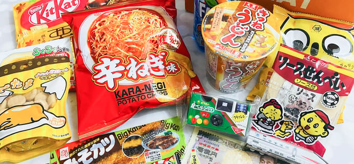 Tokyo Treat November 2022 Review: Akiba Adventure!