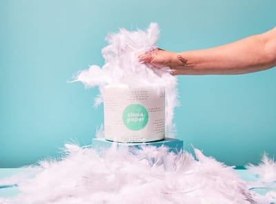 Looking for a Practical Gift? Try Save Trees Sustainable Toilet Paper for a Greener Home