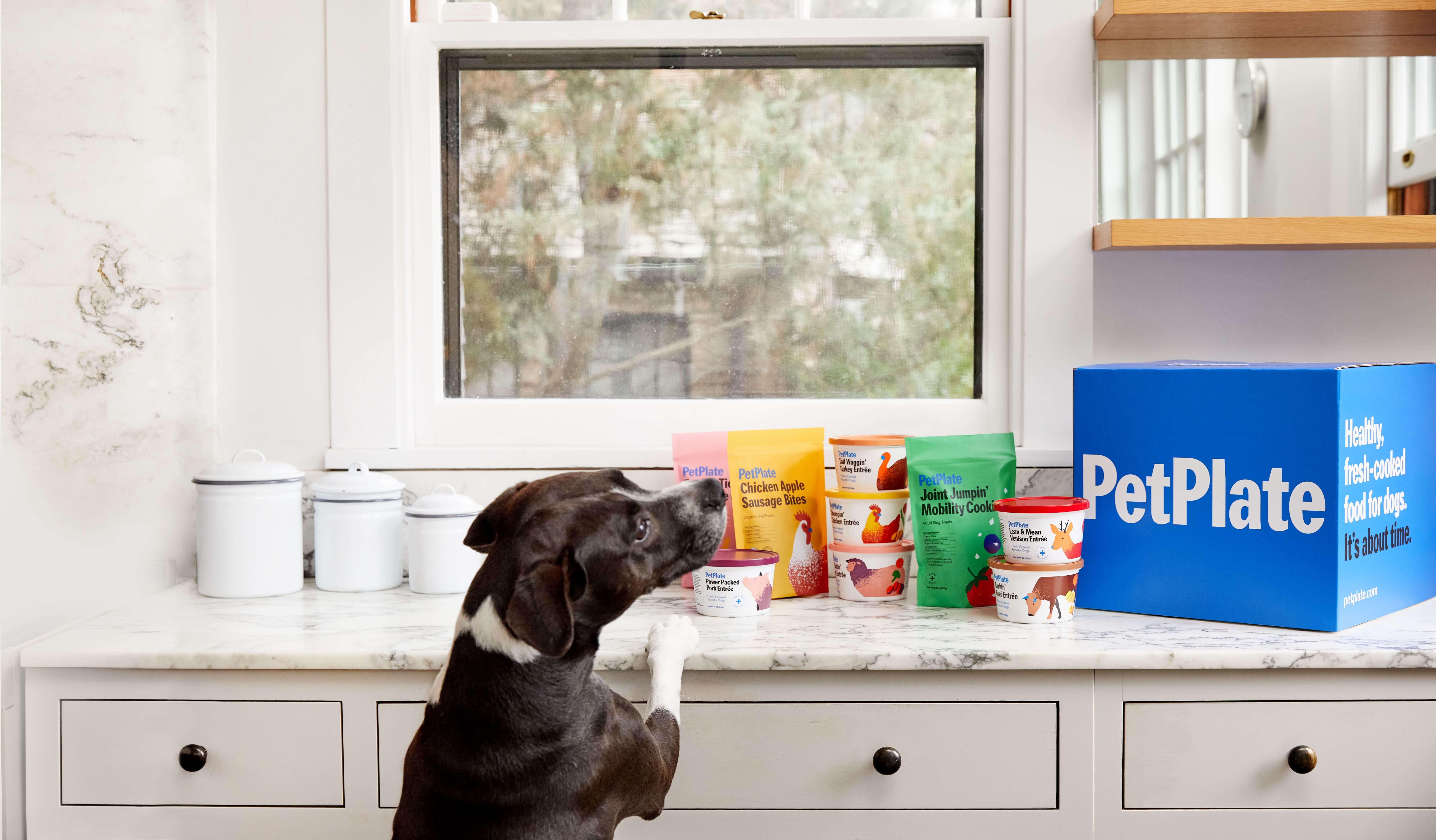 PetPlate Coupon – 60% Off Your First Box
