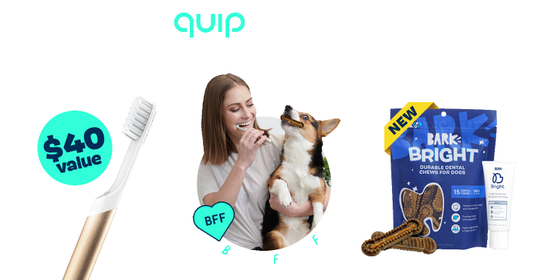 Bark Bright Coupon: FREE Quip Electric Toothbrush With Dog Dental Kit Subscription!