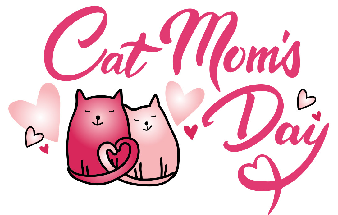 Cat Lady Box May 2023 Spoilers!