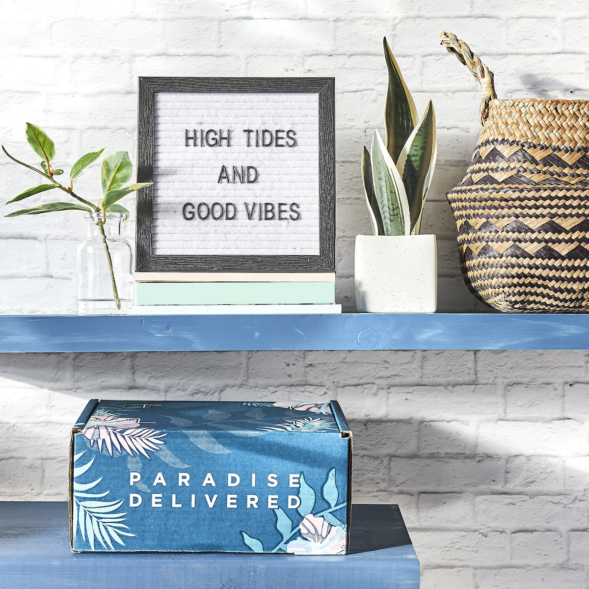 Paradise Delivered Memorial Day Deal: Get 50% Off First Box!