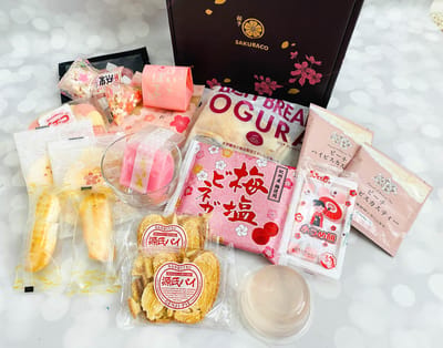 Sakuraco May 2023 Subscription Box Review: Moonlit Sakura