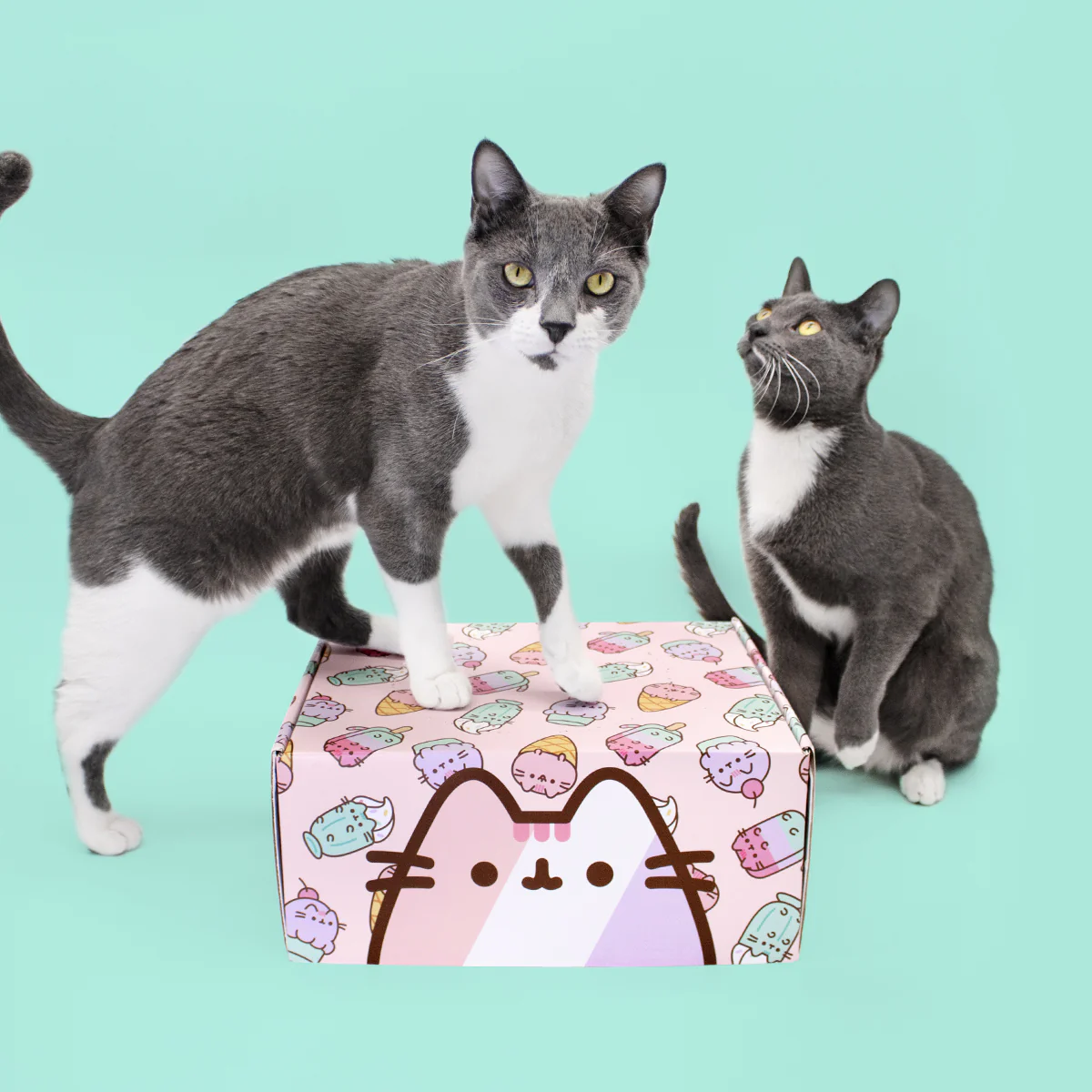 Cat Kit by Pusheen Box Summer 2023 Full Spoilers: Ice Cream!