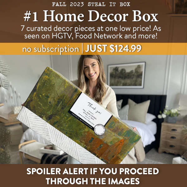 Decor Steals Fall 2023 Steal It Box Full Spoilers: Effortlessly Style Your Home This Season!
