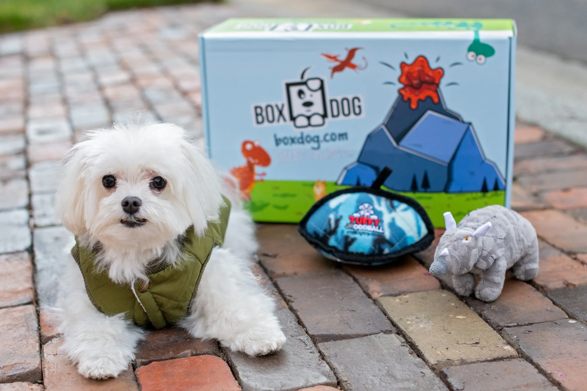 BoxDog Coupon: FREE Tree Foraging Mat With Your First Customizable Dog Subscription Box!