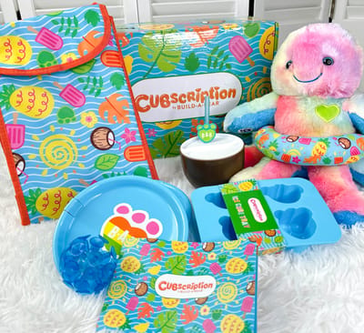 Cubscription Box Summer 2023 Review: Summer Fun