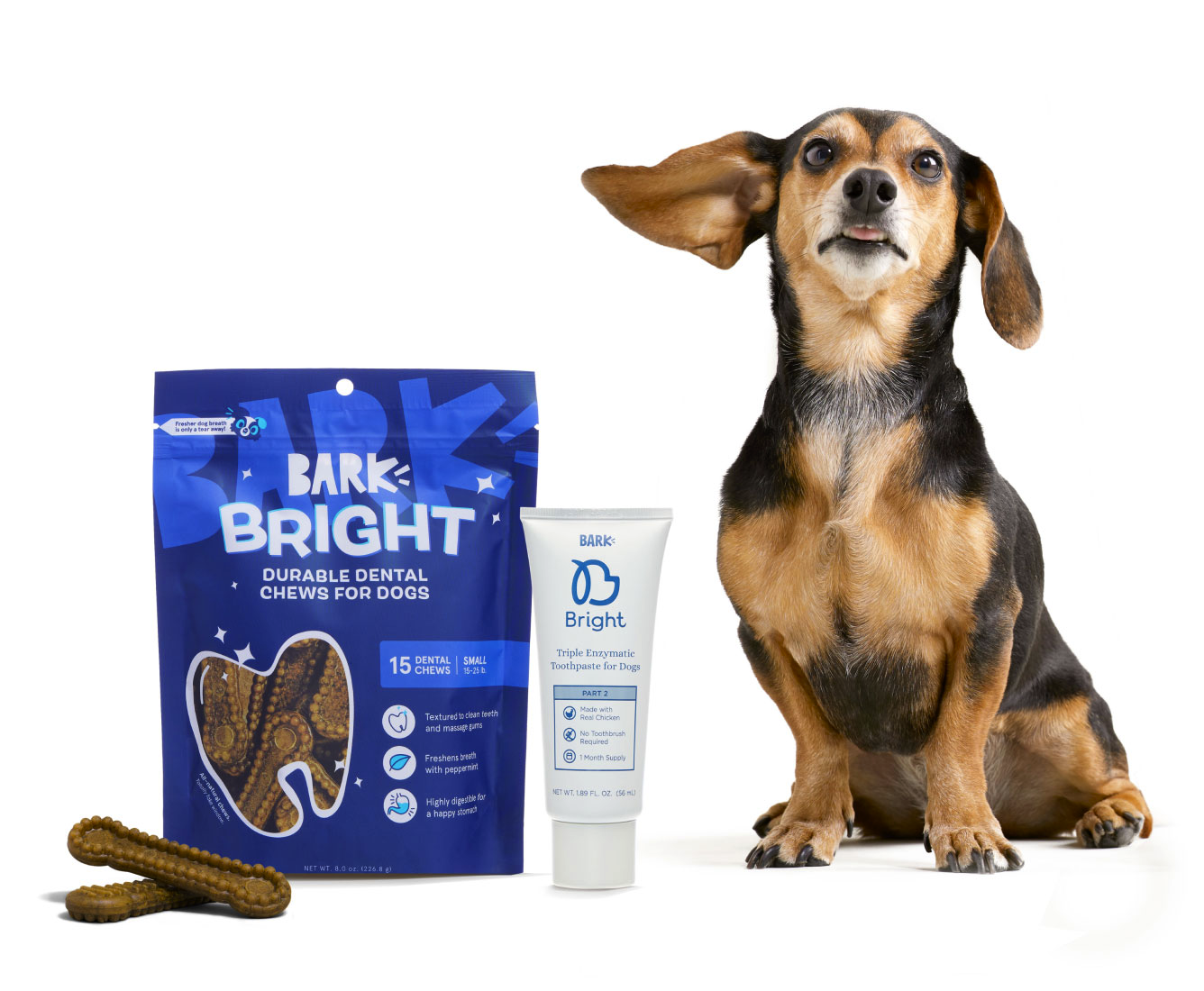 Bark Bright Coupon: FREE Limited Edition Treat Jar With Dog Dental Kit Subscription!