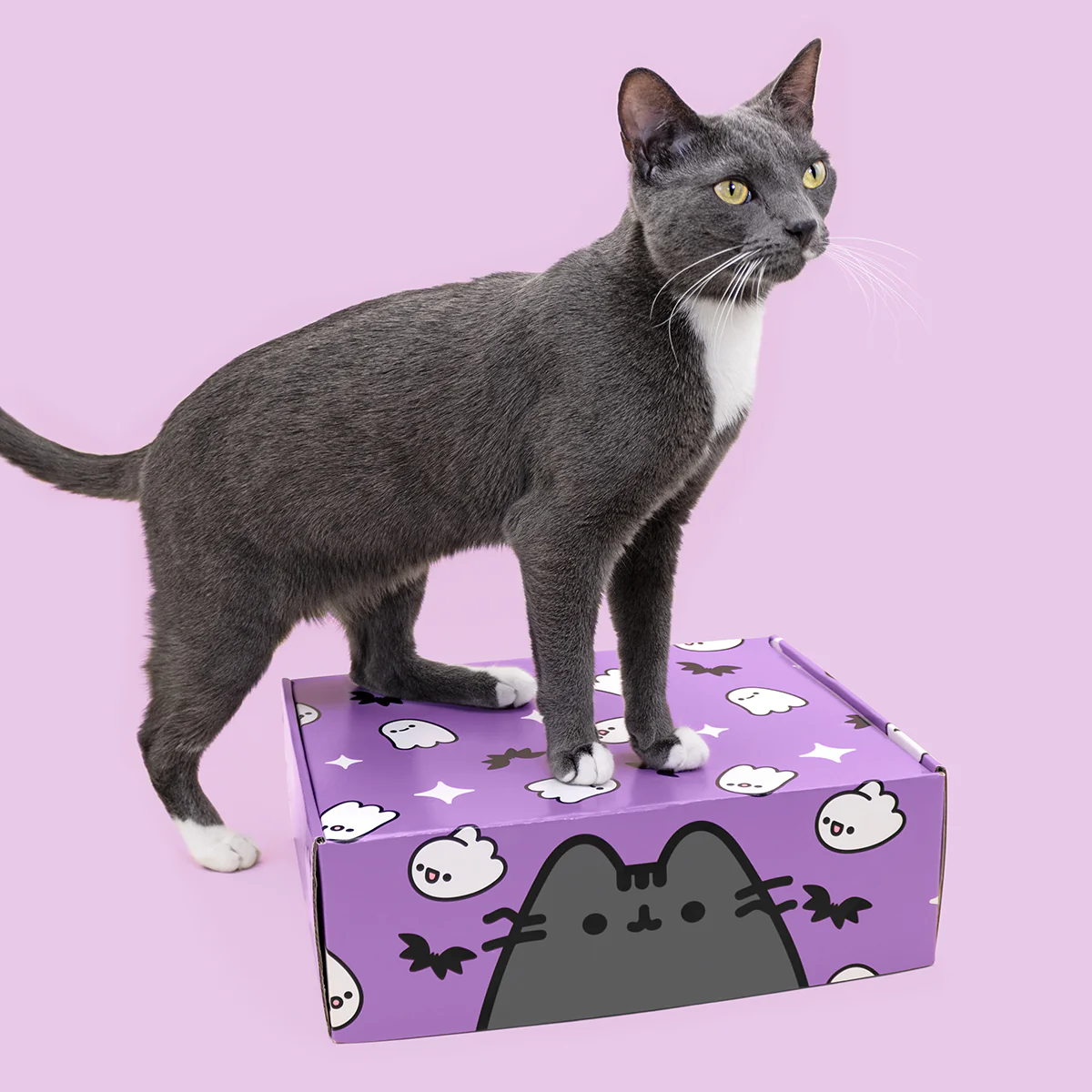 Cat Kit by Pusheen Box Fall 2023 Full Spoilers!