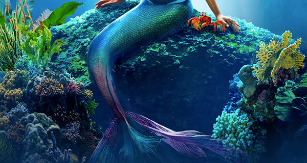 Disney Movie Club September 2023 Selection Time: The Little Mermaid Bundle!
