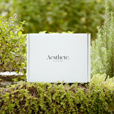 The Aesthete Box by CLOTH & PAPER Fall 2023 Theme Spoilers: Sustainable Living!