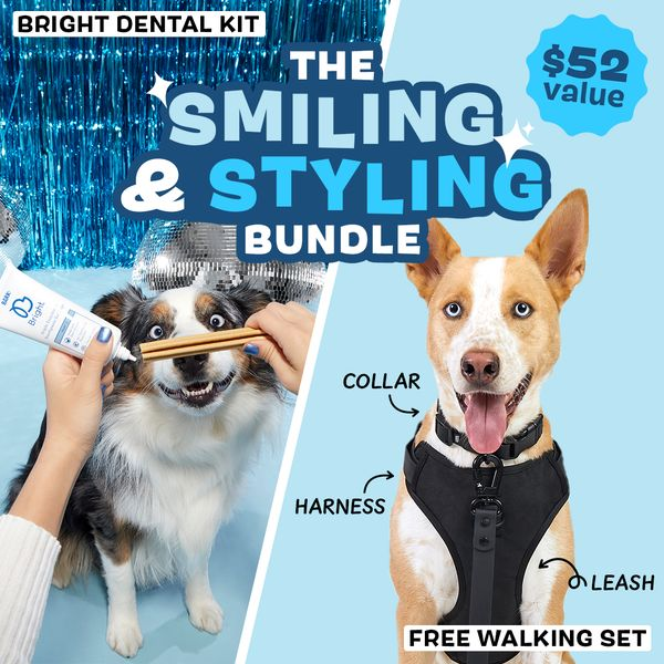 Bark Bright Coupon: FREE Walking Kit ($52 value)  With Dog Dental Kit Subscription!