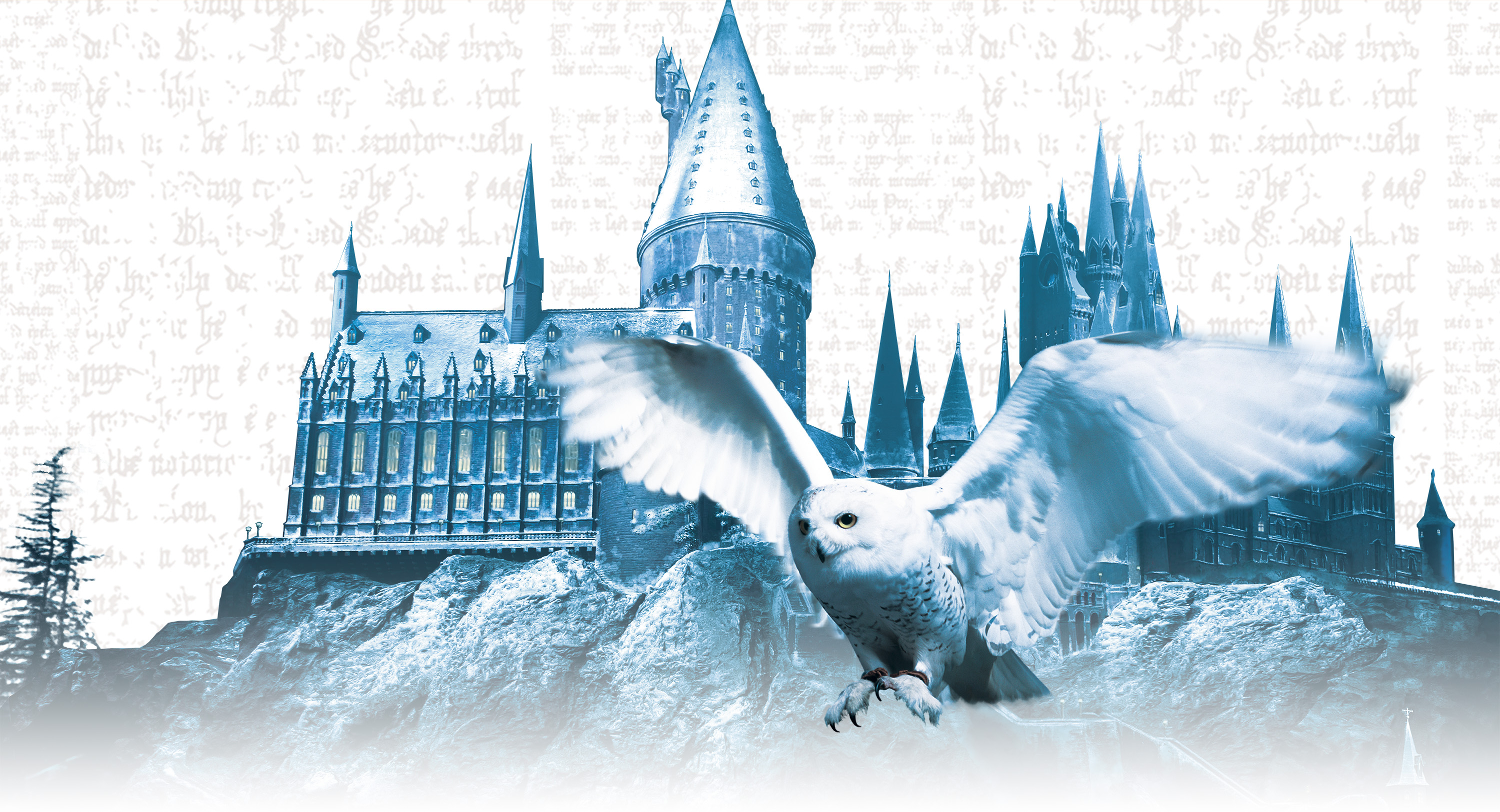 Wizarding World Box November 2023 Theme Spoilers!