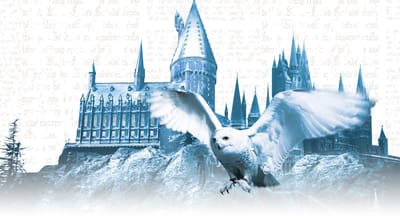 Wizarding World Box November 2023 Theme Spoilers!