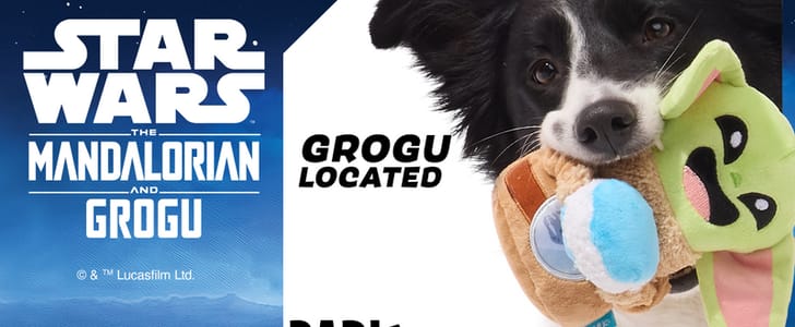 BarkBox & Super Chewer Deal – FREE Star Wars The Mandalorian