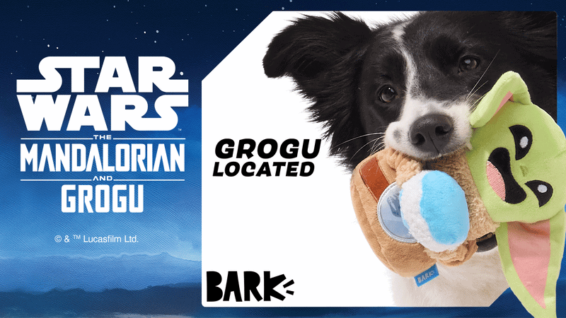 BarkBox & Super Chewer Deal – FREE Star Wars The Mandalorian Toys With First Box of Treats and Toys for Dogs!