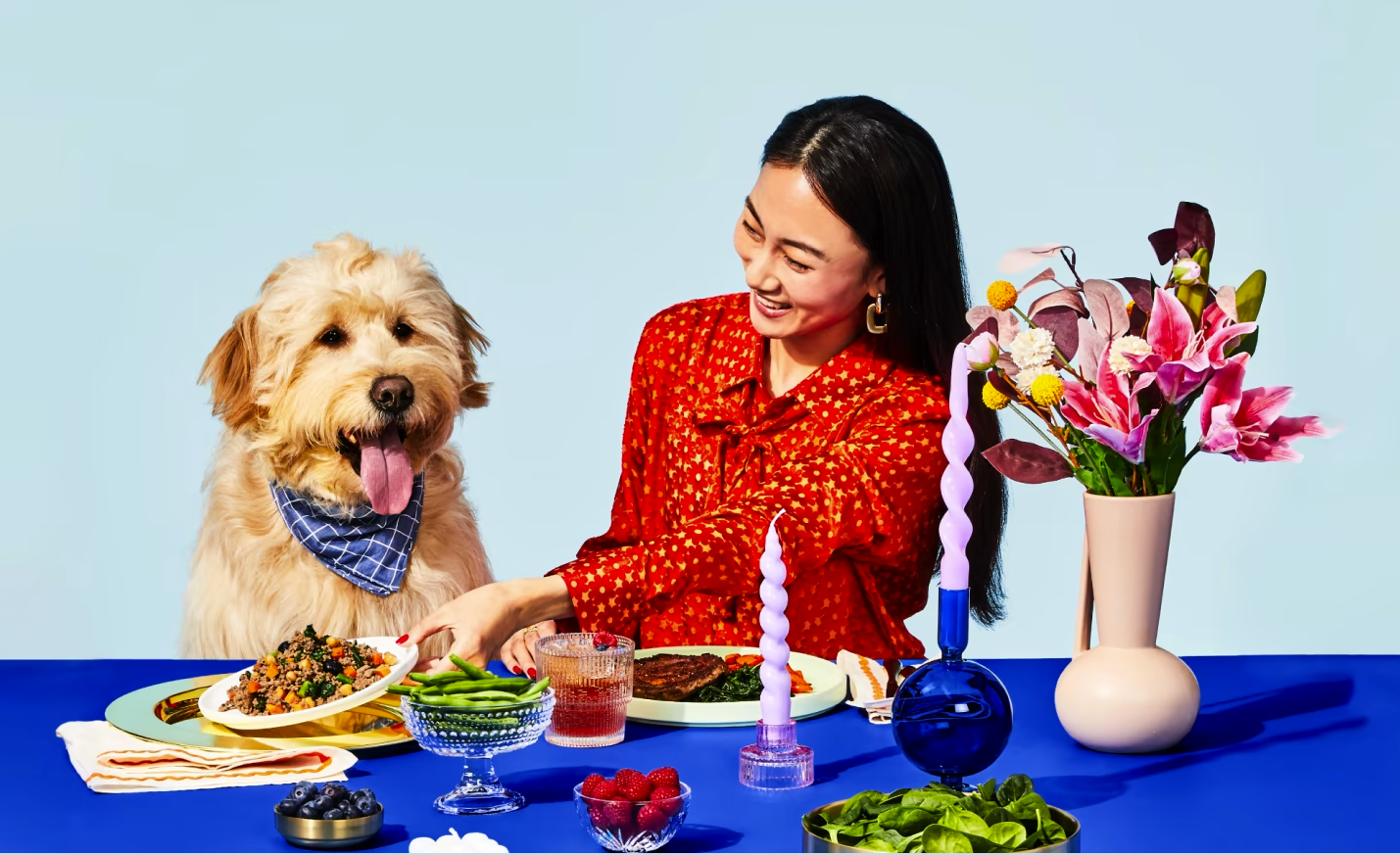 The Pets Table Coupon – Up To 50% Off On Personalized Dog Food!