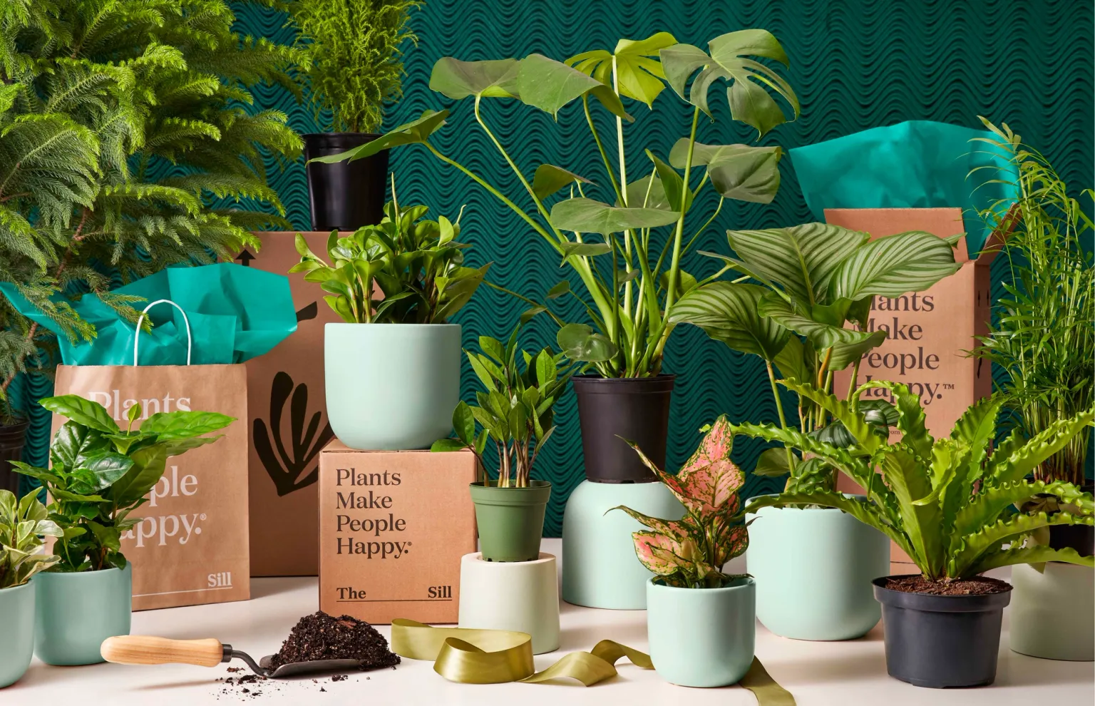The Sill Cyber Monday Coupon: Up To 50% Off On Plants and More!