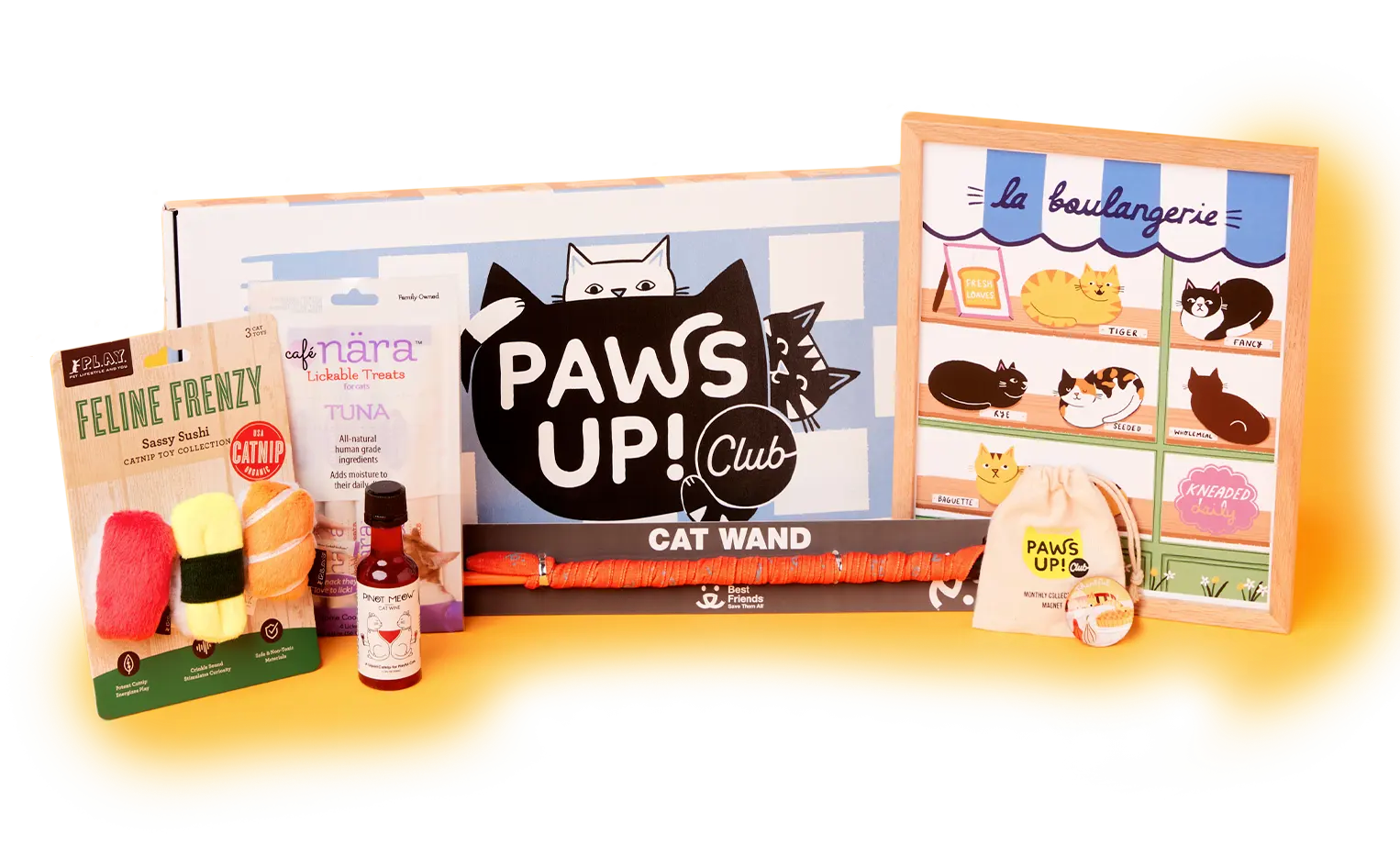 Ellen’s Paws Up Club Black Friday Coupon: Get 50% Off Your First Month!