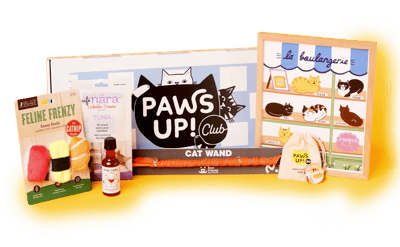 Ellen’s Paws Up Club Black Friday Coupon: Get 50% Off Your First Month!