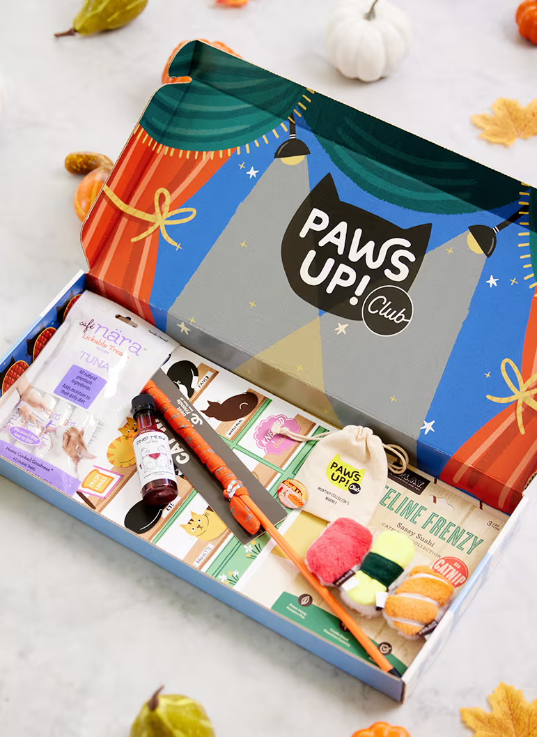 Ellen’s Paws Up Club November 2023 Full Spoilers!