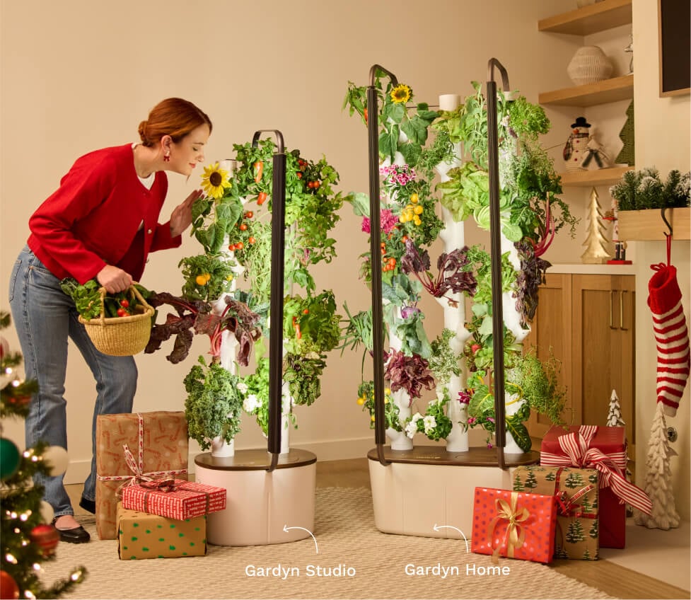 Gardyn: The Smart, Space-Saving Gift for Growing Fresh Produce at Home