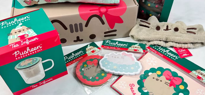 Pusheen Box Winter 2023 Review: Meowy Christmas