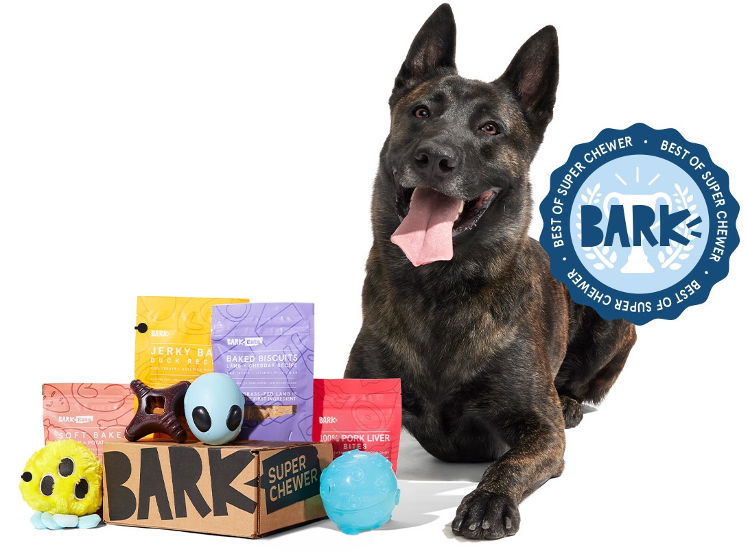 Tough Toys, Happy Pup - Top 5 Reasons to Choose Super Chewer for Your  Energetic & Playful Dogs! - Hello Subscription