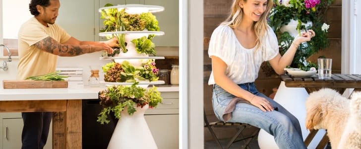 Lettuce Grow Coupon – Save 20% on Farmstands for Fresh, Home