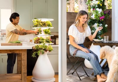 Lettuce Grow Coupon – Save 20% on Farmstands for Fresh, Homegrown Produce!